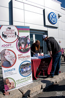 09-19-20 BHS Paws Darlings VW Audi-6